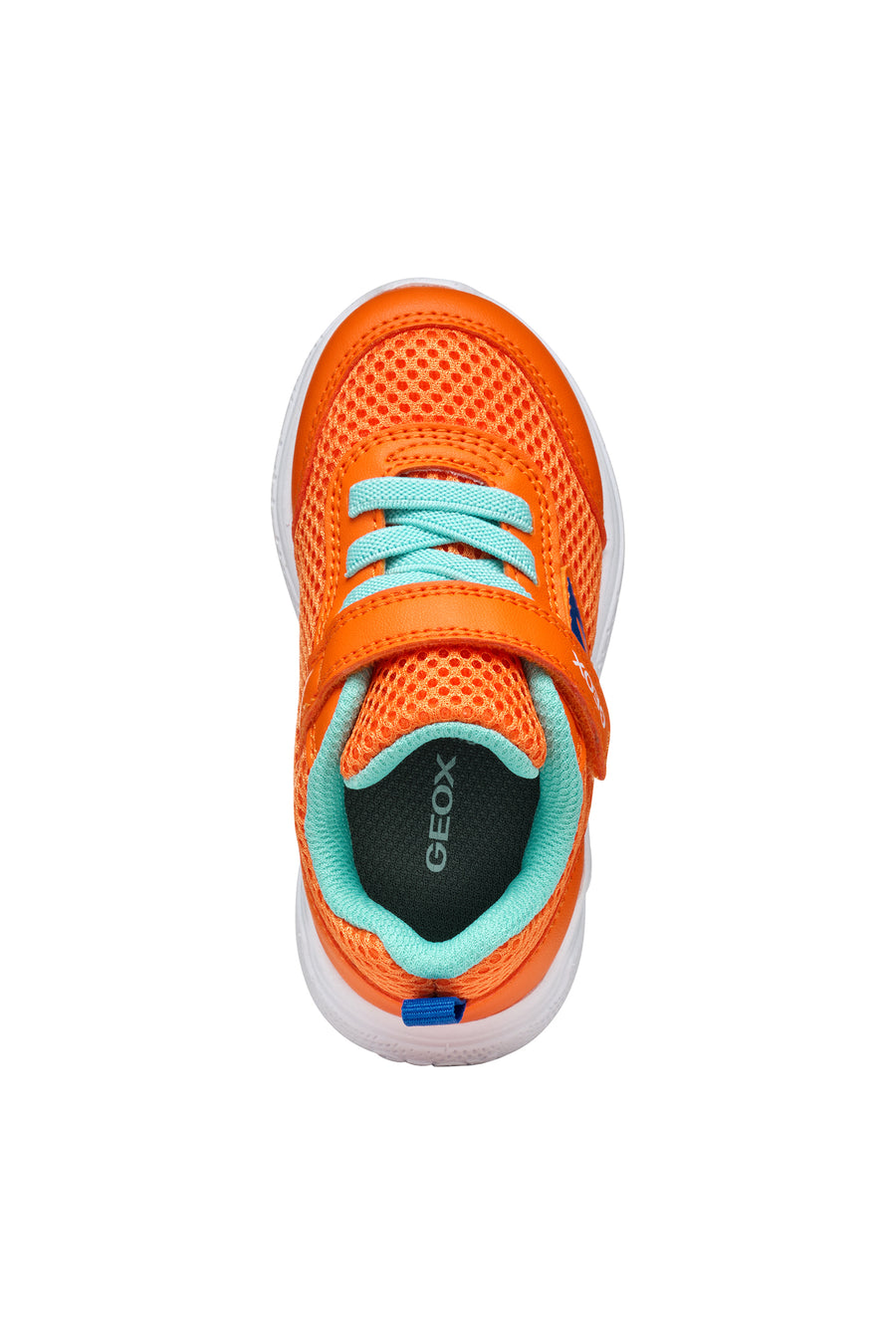 Geox Kids Trainers | Sprintye | Orange & Royal