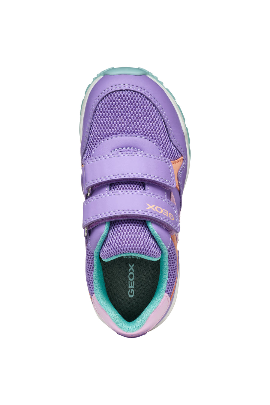 Geox Kids Trainers | Pavel | Lilac & Watersea