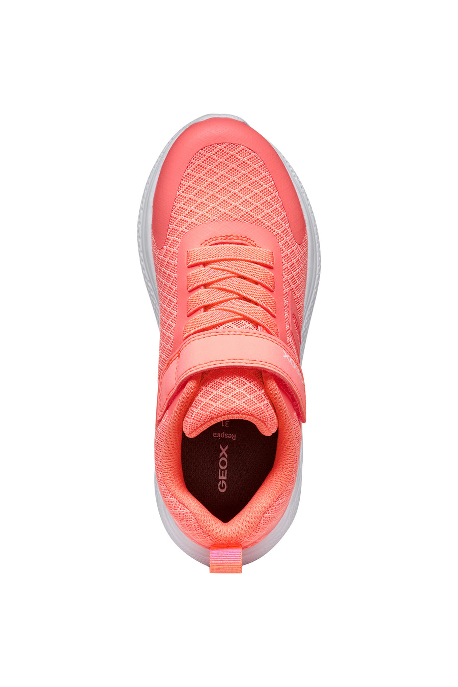 Geox Kids Trainers | Sprintye | Fluo Coral