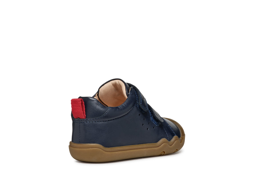 Geox Baby Shoes | Steppieup | Navy