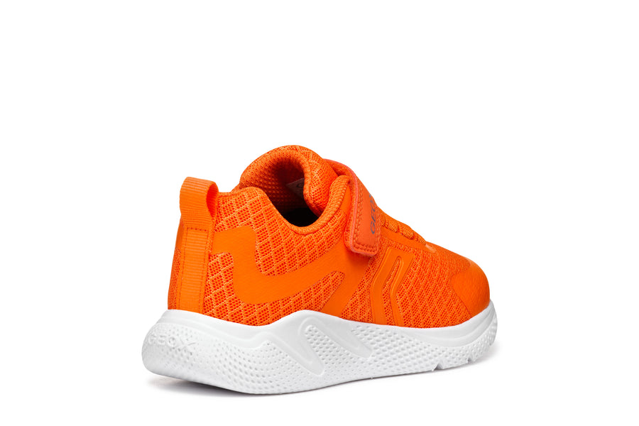 Geox Kids Trainers | Sprintye | Orange