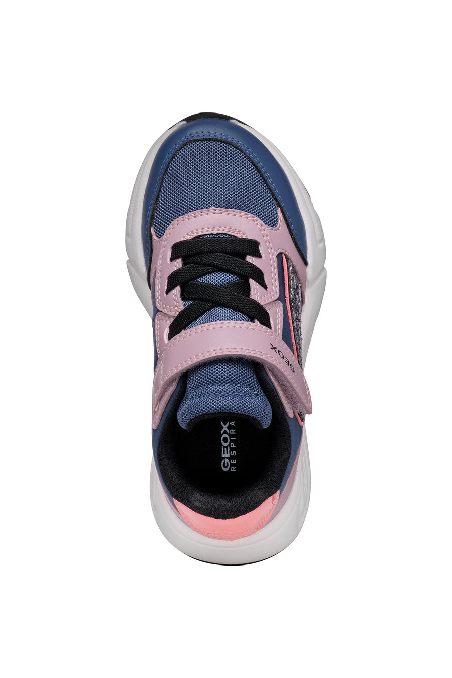 Geox Kids Trainers | Loftus | Rose & Blue